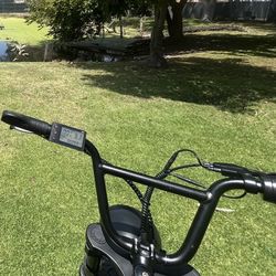 Colorway Electric Bike (TRADES ONLY)