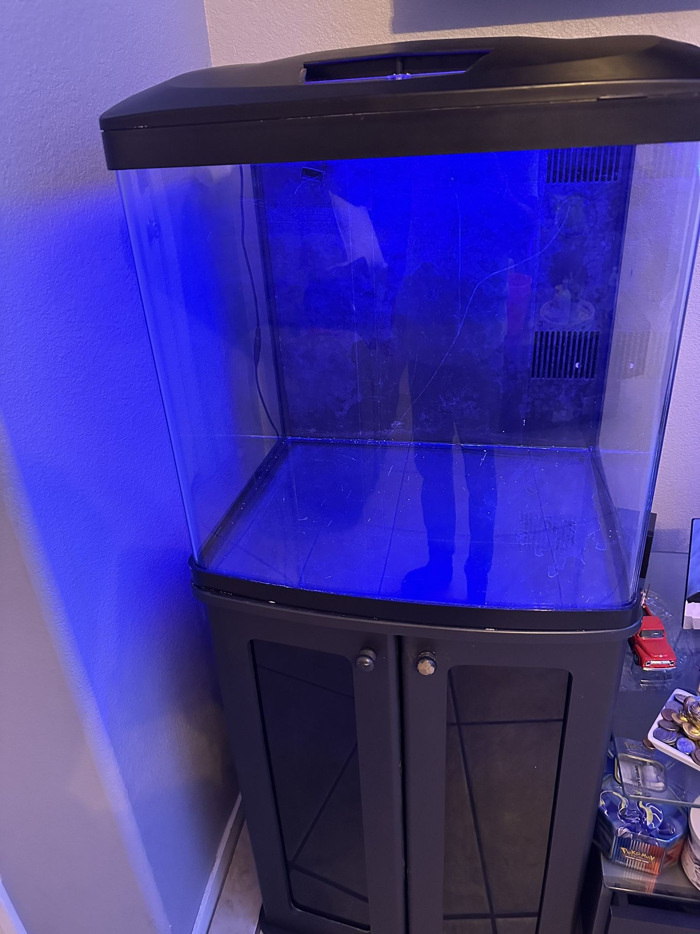 32 Gallon Biocube Fish Tank