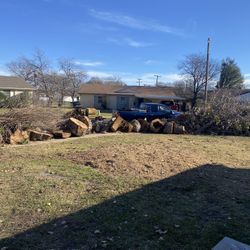 🌳🌳🌳🌲🌲🌲✅🏡