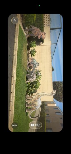 Dinosaurs for Sale Perfect For Party’s