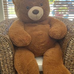 Teddy Bear New 