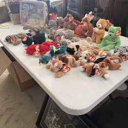 Beanie babies