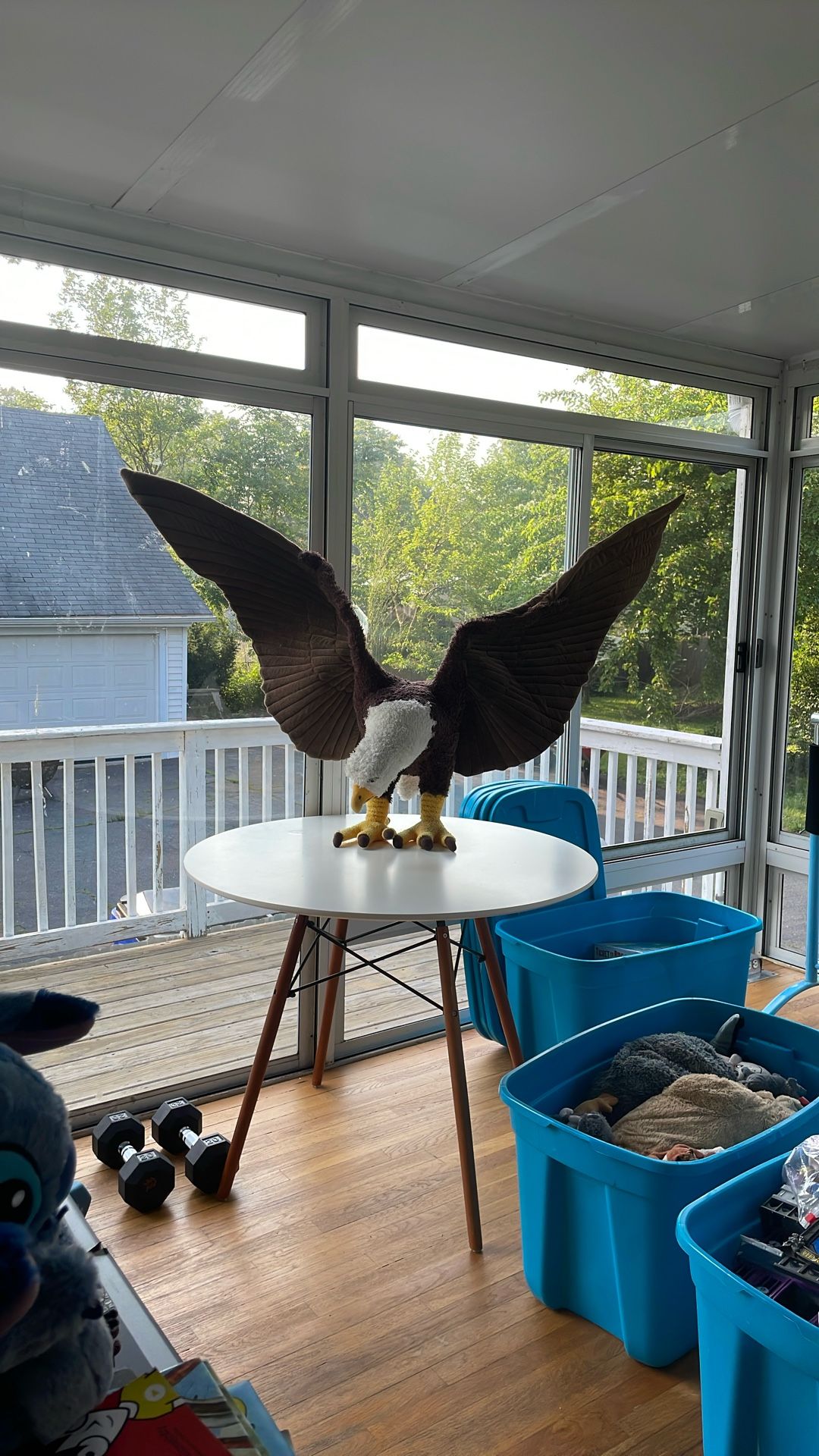 Eagle Soft Toy from Discovery Place