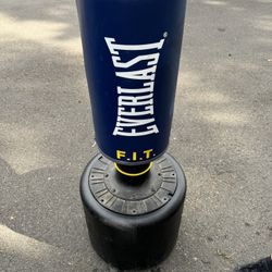 Everlast Punching/kickboxing Bag