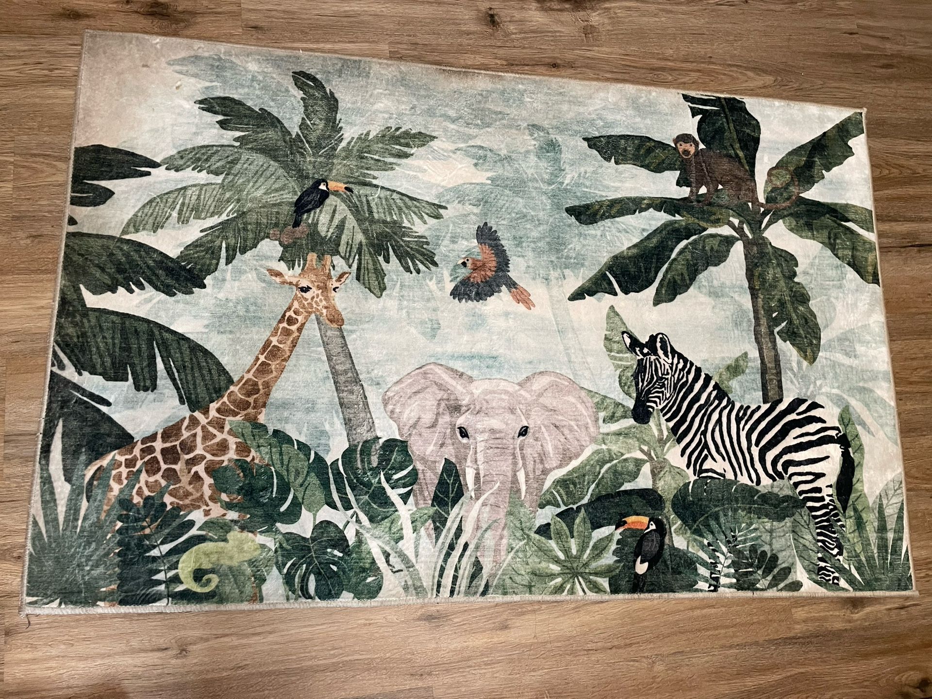 Kids Jungle Carpet
