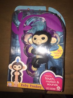 Black Fingerling Monkey