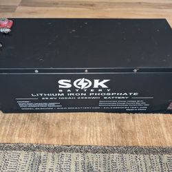 24v 100ah SOK Lifepo4 Battery