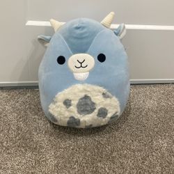 Squishmallow 