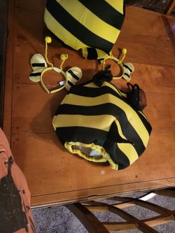 Bumble Bee Costume For Halloween