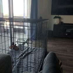 Large Cage For Dog Bed Not Included 