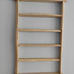 Handmade Rustic Wall Shelf- $75 OBO