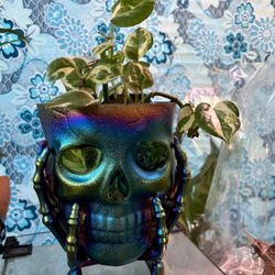 Skull Planters! Plant Pot iridescent . 7”X5” Made Of Resin  plant, not included