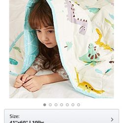 Hiseeme Child's Weighted Blanket-Dinosaur