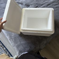 Free Styrofoam Cooler