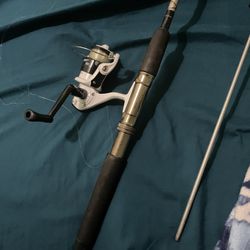 Rod And Reel Combo(throw Me A Price)