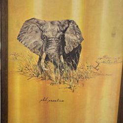 Elephant Wall Picture 