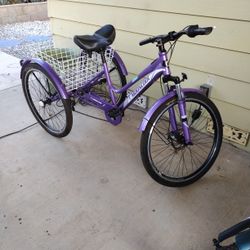 Adult Tricycle 7 Speed