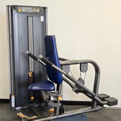 Matrix Versa Triceps Pushdown / Dip Machine