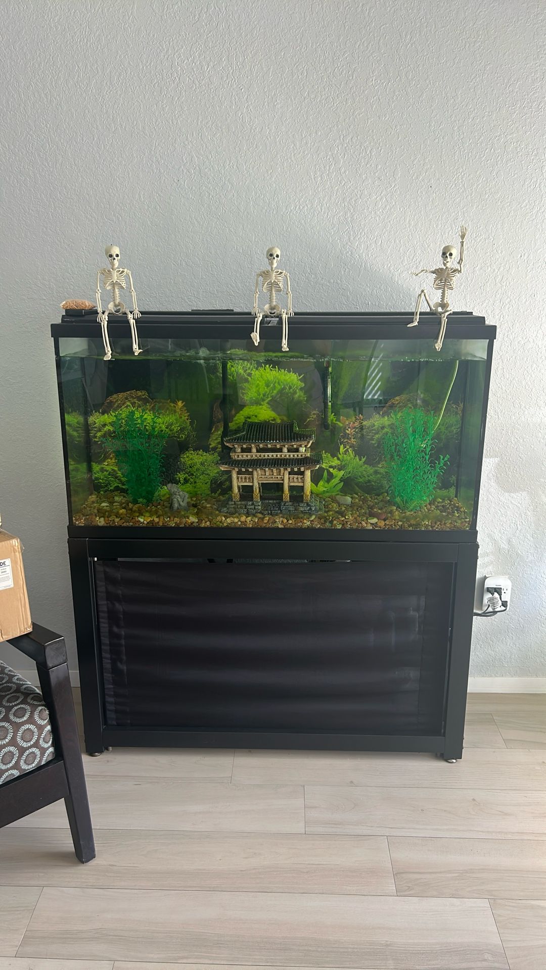 55 Gal Fish Tank