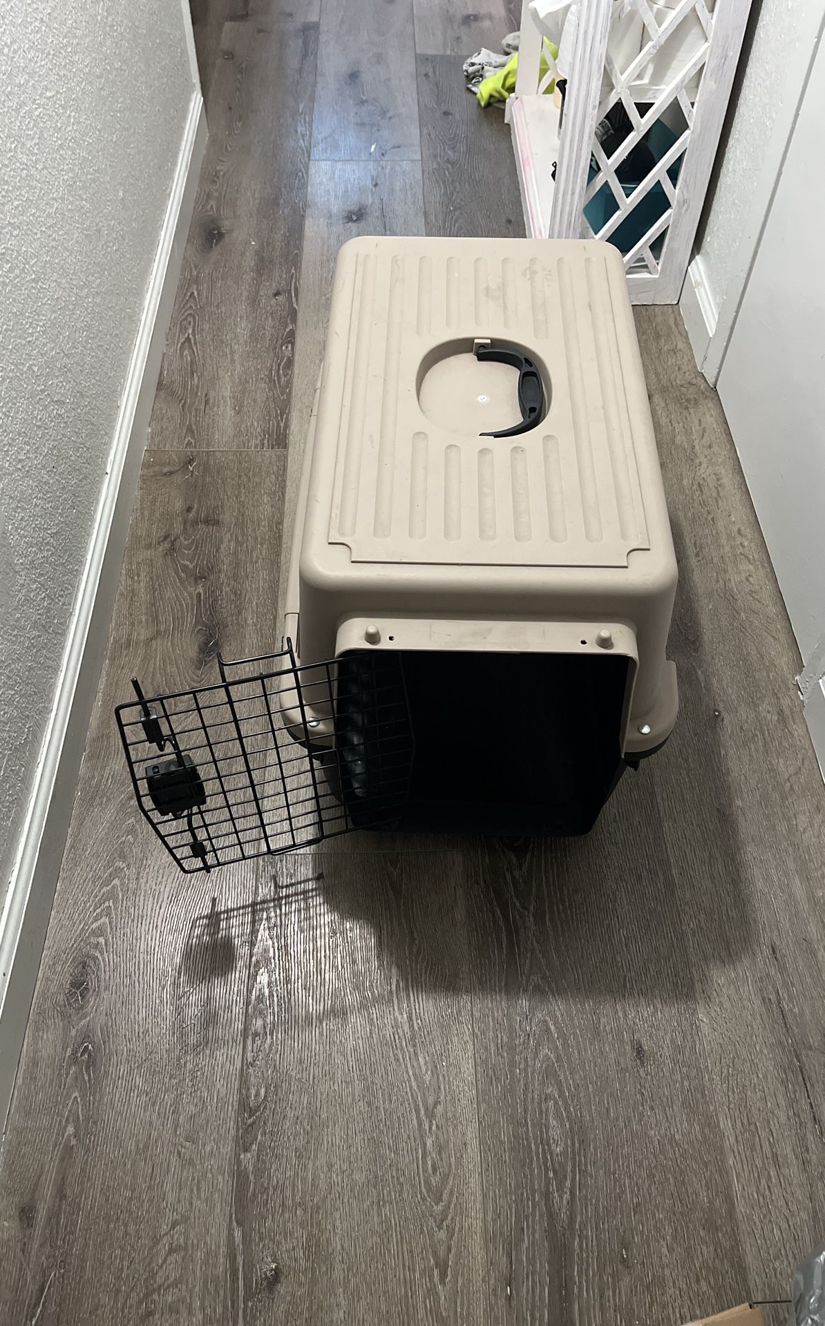 Pet Carrier