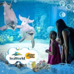 1 Day SeaWorld + All Day Dining