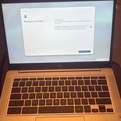 Hp Chromebook