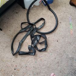 2 Pairs of bike tires