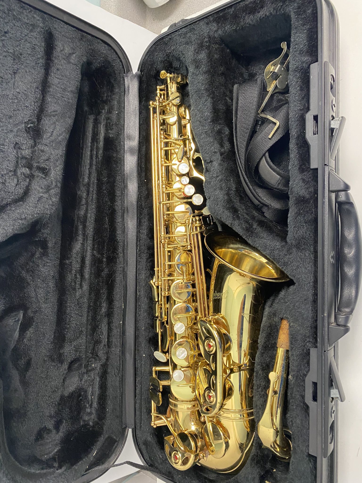 alto saxophone 