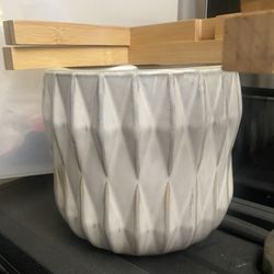 Plant Pot
