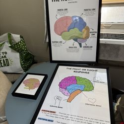 PSYCHOLOGY /COUNSELOR POSTERS IN FRAMES  