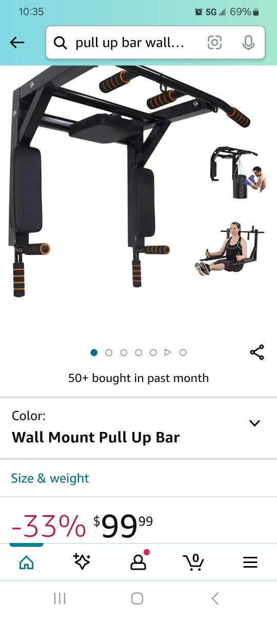 Pull Up Dip Station Wall Mount