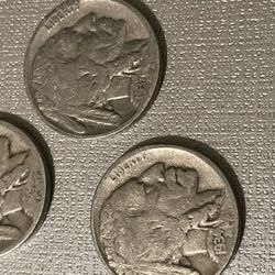 Three Buffalo Nickels