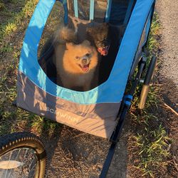 Schwinn Bike Trailer 