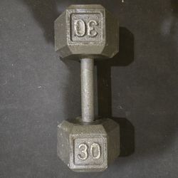 Single 30lb Metal Hex Dumbbell 
