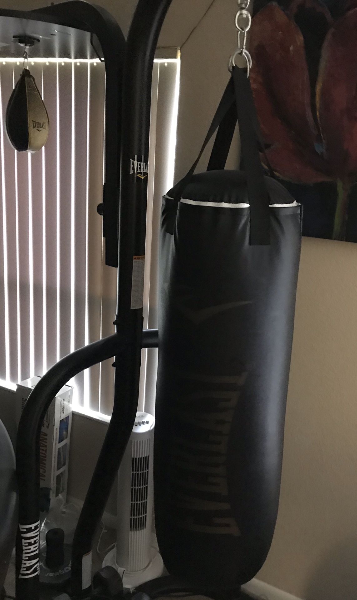 Everlast Boxing Heavy Bag and Speed Bag