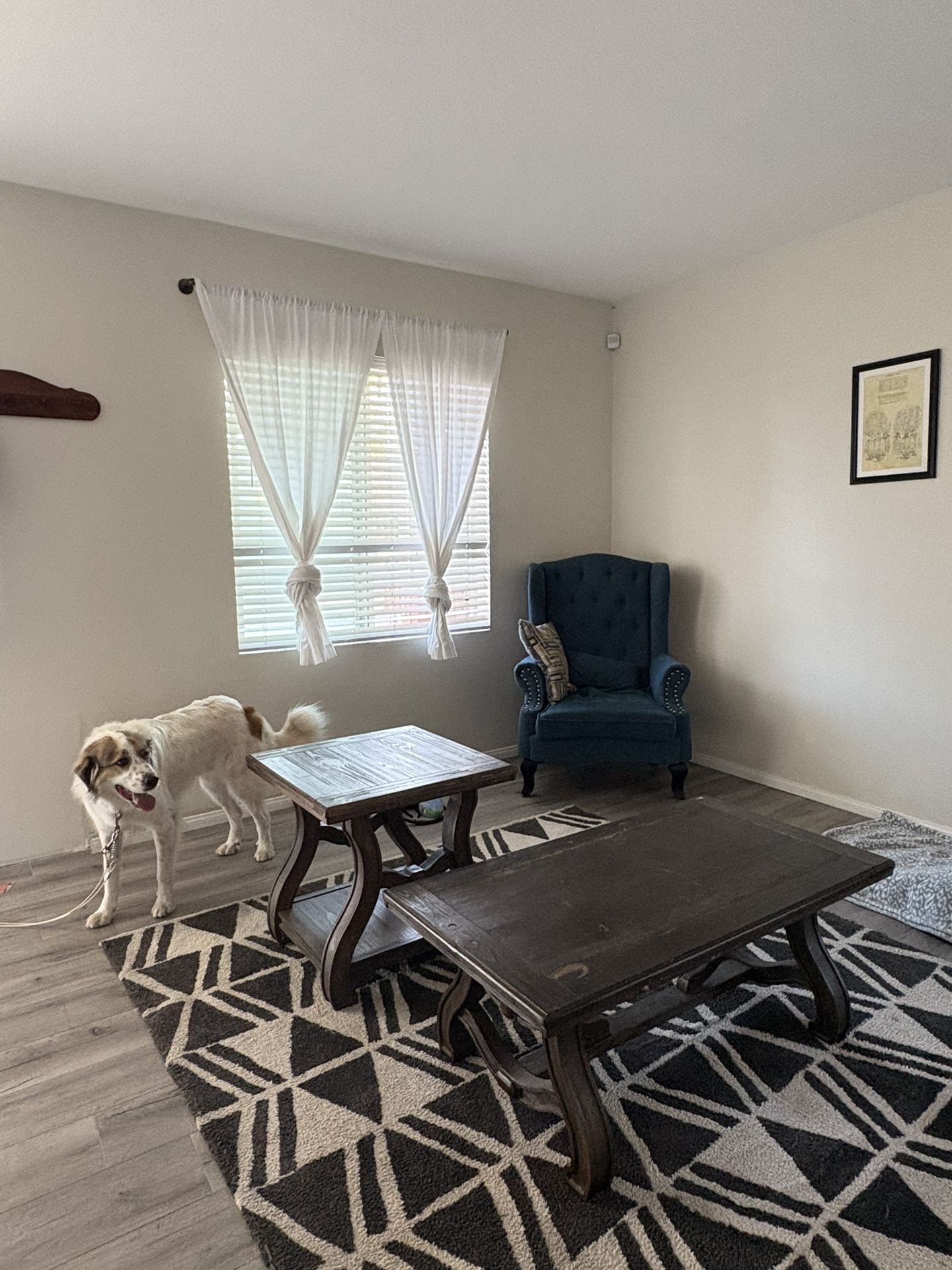 Real Wood Coffee Table & side Tabe