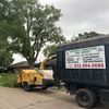 GREEN CUT TREE SERVICE !(LUIS)