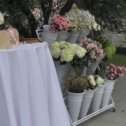 Flower Wall/Display Stand