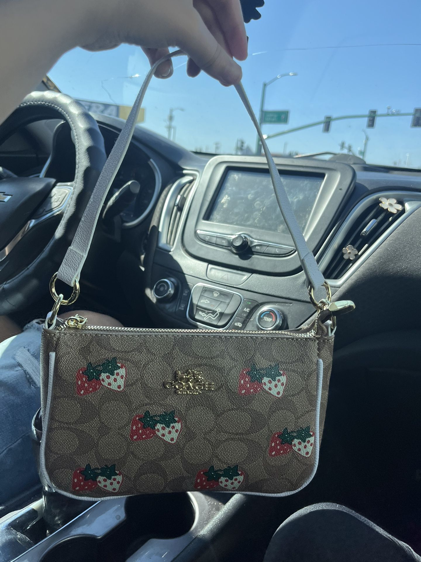 Strawberry Coach Bag
