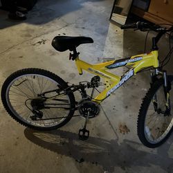 Adult Bike 