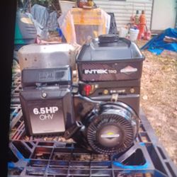 Six And A Half Horse Intech Go-kart Motor