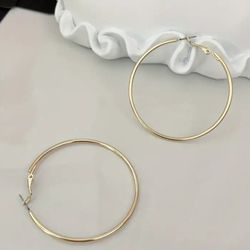 Sleek Classic Gold Tone Hoop Earrings 