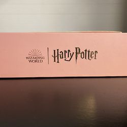 Harry Potter Resin Craft 