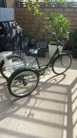 Bicicleta Doble Llanta