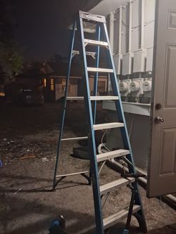 Wagner step ladder 12ft