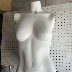 Female Mannequin Torso 