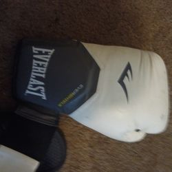 Everlast Boxing Gloves