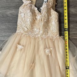 Homecoming Dresses Prom Dress Quinceanera Dresses size small , size 2-4