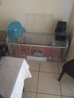 Guinea Pig Cage