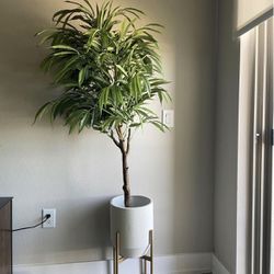 Realistic Tree With Plant Pot 